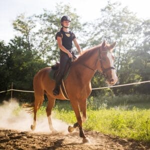 Introduction To Riding Trial Lesson For Adults