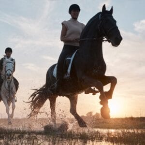 Horse Riding Advanced Adult Package