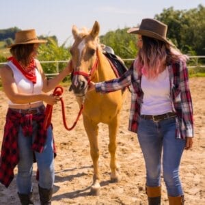 Riding For Beginners - Adult Package