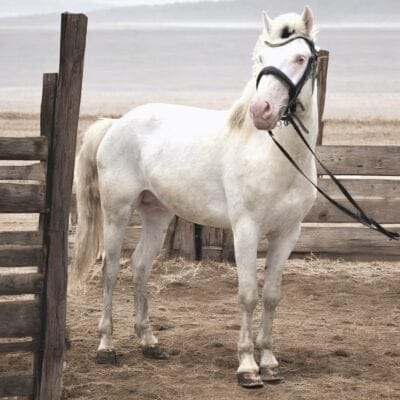 Zeus / Da Nang – Hoi An