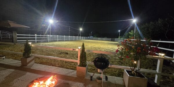 Light Up the Night: Evening Rides & VIP Deck Reopening at VEC!