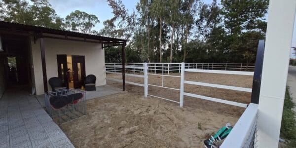 Dream Internship: Join the Vietnam Equestrian Club Team!