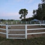 Training / Excerise Pen