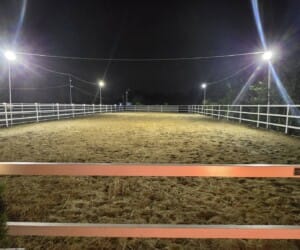 Main Club Arena At Night